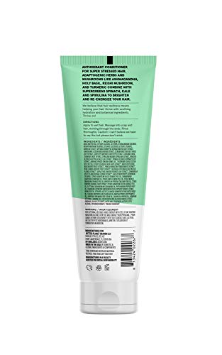 Acure - Juice Cleanse Supergreens & Adaptogens Conditioner, 8 fl oz - Antioxidant Conditioner to Brighten and Re-Energize Stressed Hair - Conditioner for Dry Hair and Damaged Hair - 100% Vegan