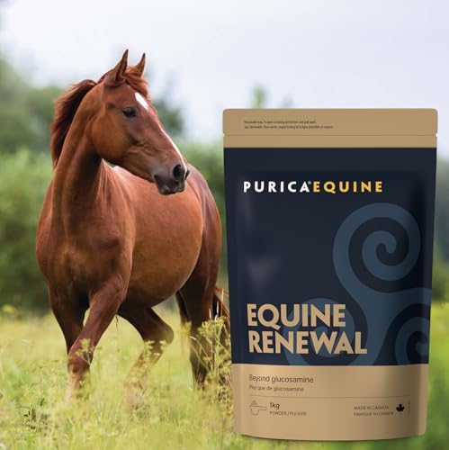 PURICA Equine Renewal Powder 1kg, Joint & Mobility Supplement for Horses with Glucosamine, MSM, Vitamin C, Magnesium, Support Flexibility, Cartilage & Connective Tissue, Non-GMO, Vegan, Made in Canada