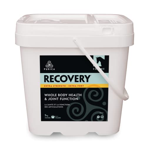 PURICA Recovery Extra Strength Extra Fort - Supplément pour Chevaux - Favorise la Santé et la Performance du Cheval, avec MSM et Glucosamine