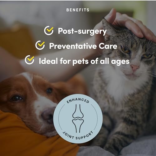 PURICA Récupération Animaux