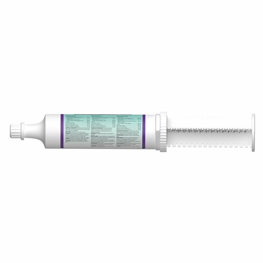 Omega Alpha Chill Ultra Pâte pour Chevaux 60 mL, Seringue à Dose Unique, Soutien Équin pour la Concentration, le Calme et la Préparation Musculaire Pendant les Événements et les Voyages