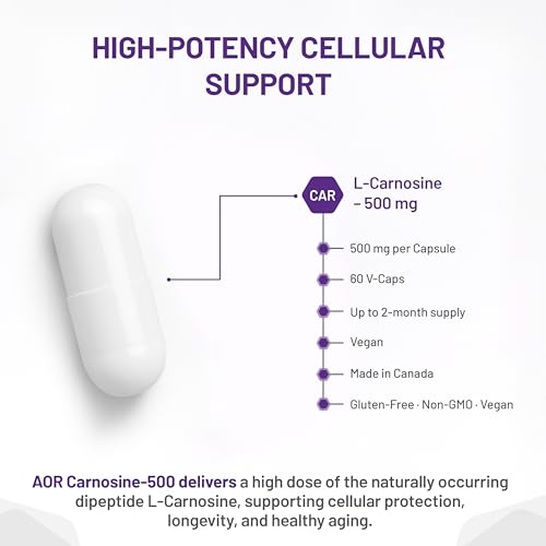 AOR Carnosine Supplément 500 mg Acides Aminés - Soutien Antioxydant pour la Fonction Cellulaire, la Vitalité Musculaire et le Bien-être Cognitif - Formule Végétalienne, sans OGM et sans Gluten