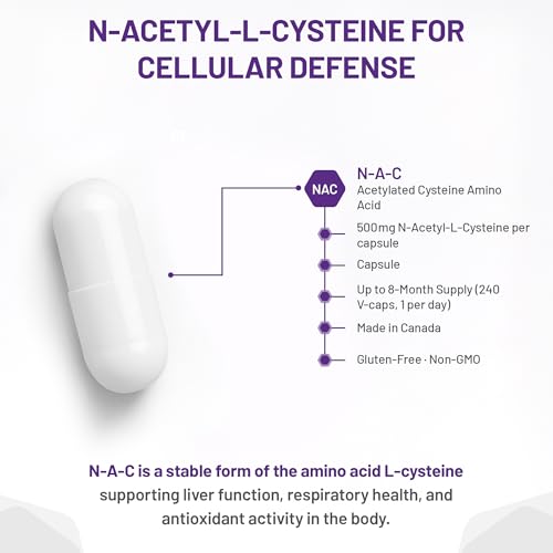 AOR - NAC Supplement 500mg N-Acetyl Cysteine, 120 Capsules - Mucus Relief, Bronchitis Relief, Mucus Clear, Respiratory and Detoxification Supplement - N-Acetyl-Cysteine NAC 500mg Capsules
