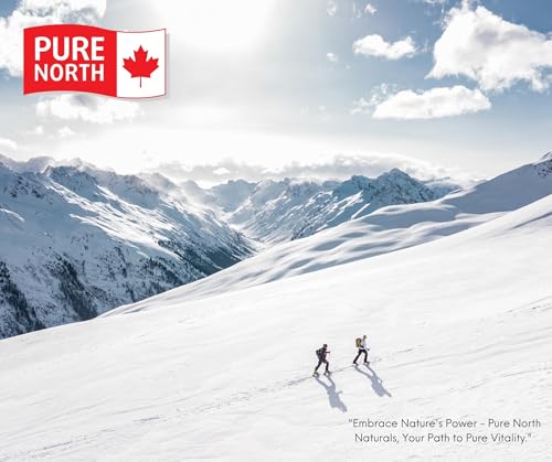 Pure North Naturals - Creatine 100% Pure Micronized 400g Powder 80-Servings - Improve Muscle Mass, Strength and Size - Improve Training Performance - 3rd Party Tested - Formulated & Made in Canada