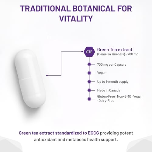 AOR Green Tea Extract 700mg