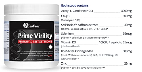 CanPrev Prime Virilité, Poudre 150g - Supplément de fertilité et de testostérone pour hommes avec Ashwagandha KSM-66, Glycinate de Zinc, CoQ10 et Safran - Soutien au bien-être pour la vitalité et l'équilibre