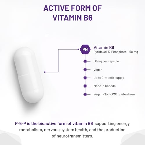 AOR P5P Complément de Vitamine B6 50 mg