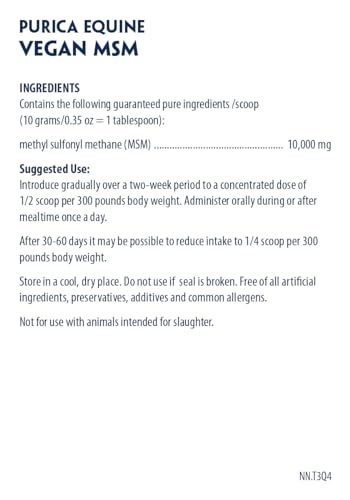 PURICA Équin MSM Végétalien en Poudre - Supplément Pur & Organique pour Chevaux pour le Soutien Articulaire, 1kg