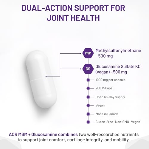 AOR MSM + Glucosamine