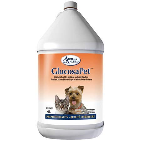 Omega Alpha GlucosaPet, supplément liquide pour chiens et chats, 4 litres avec glucosamine, chondroïtine, MSM, favorise le confort, la mobilité, la flexibilité et le cartilage des articulations