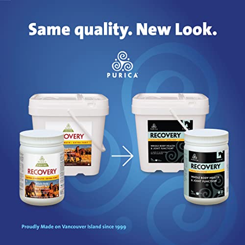 PURICA Recovery Extra Strength Extra Fort - Supplément pour Chevaux - Favorise la Santé et la Performance du Cheval, avec MSM et Glucosamine