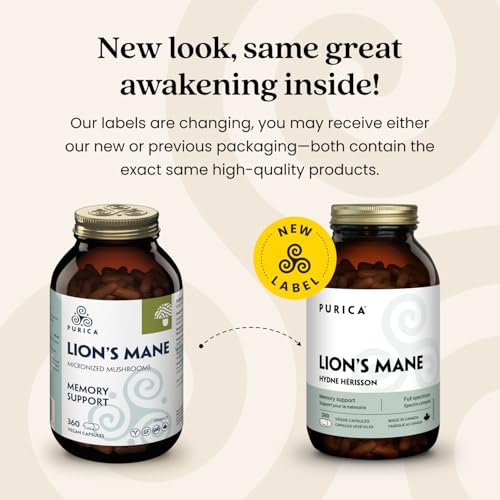 PURICA Crinière de Lion Biologique - Complément pour la Santé Cérébrale, Mémoire et Concentration, Gélules 100% Naturelles, Véganes