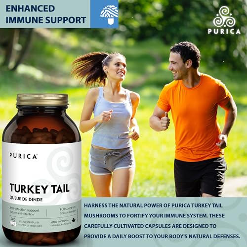 PURICA - Turkey Tail - Coriolus