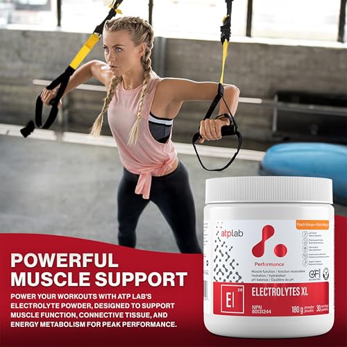 ATP LAB - Électrolytes XL - 180g