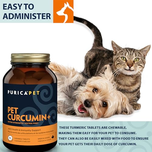 PURICA Curcuma Plus Extra Fort pour animaux de compagnie