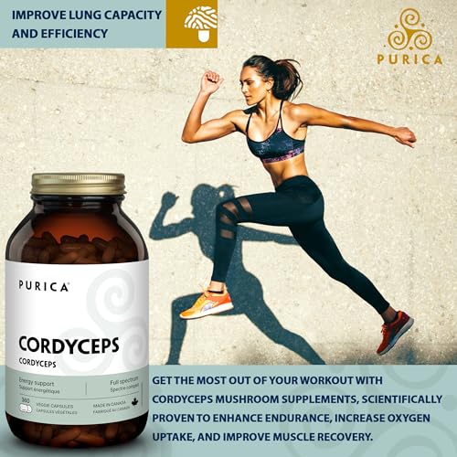 PURICA Cordyceps Champignons micronisés