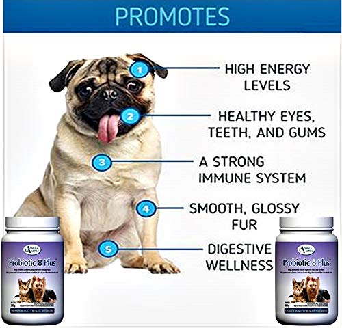 Omega Alpha Probiotic 8 Plus Poudre pour Chiens et Chats, Probiotiques pour Chiens - Soutient la Santé Intestinale, Améliore le Bien-être Digestif, la Santé des Yeux, des Dents et des Gencives, Formulé par des Vétérinaires, Fabriqué au Canada