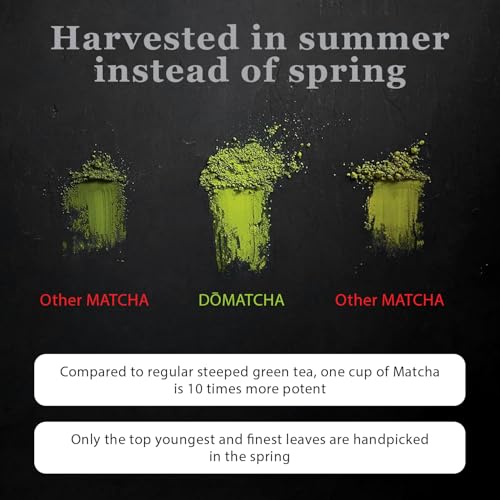 Poudre de Matcha Cérémonial DoMatcha, Thé Vert Japonais d'Uji – Goût Doux et Sucré, Riche en L-Théanine pour le Calme et la Concentration – Idéal pour les Lattes et les Rituels Quotidiens, Certifié Casher