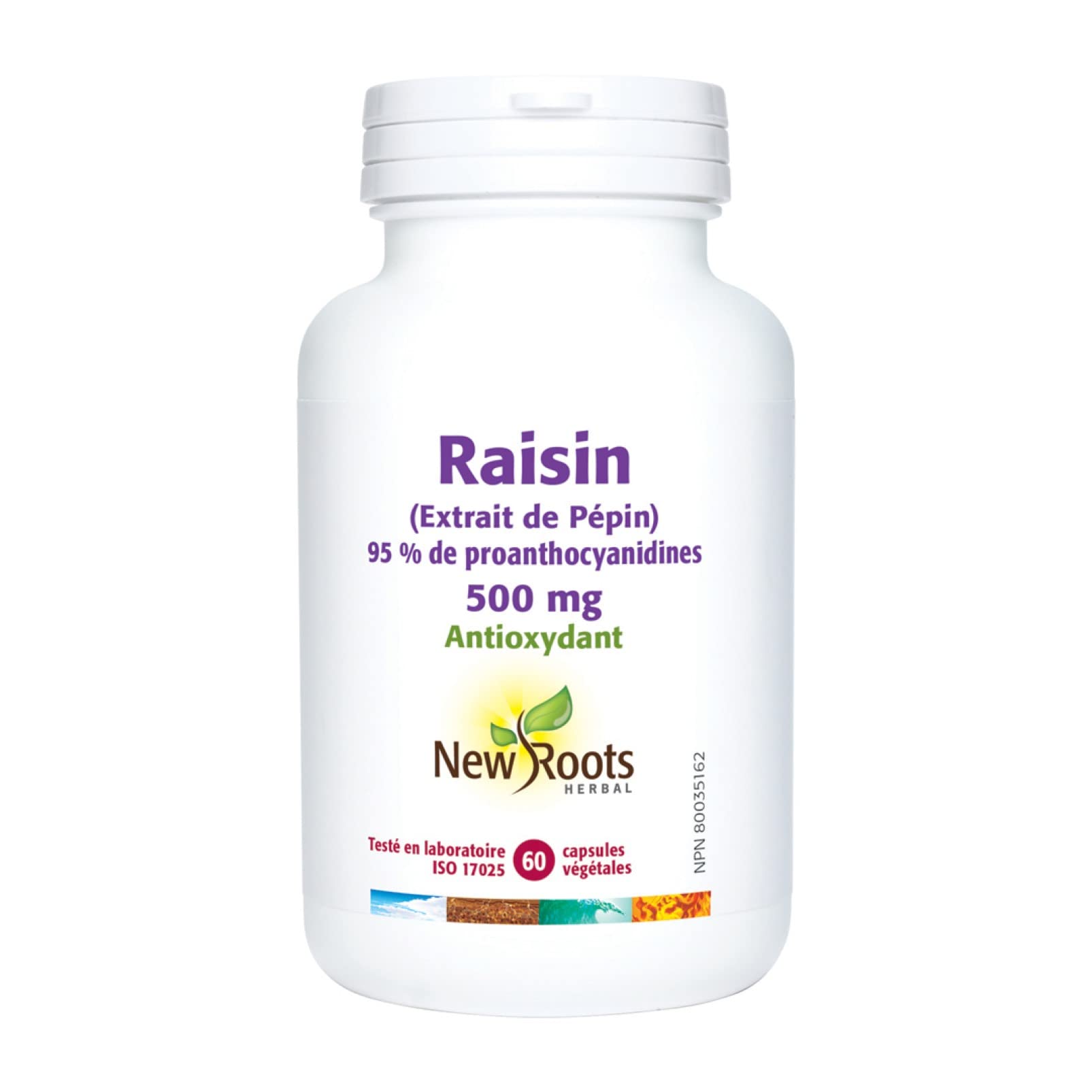 New Roots Herbal Extrait de pépins de raisin 500 mg, 60 capsules végétales, approvisionnement de 60 jours, 80 % d’OPC normalisés, soutien antioxydant pour la santé capillaire et la vitalité de la peau avec concentré de canneberge