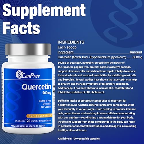 CanPrev Quercétine, 120 gélules végétales – 120 jours d'approvisionnement – Végétalien et sans OGM – 500 mg de quercétine pure – Favorise une circulation saine et le confort pendant les changements de saison – Riche en propriétés antioxydantes