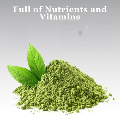 DoMatcha Summer Harvest - Japanese Matcha Green Tea Powder for Smoothies, Lattes, Baking & Culinary Creations - Rich in Antioxidants, Vibrant Green Color, Kosher Certified