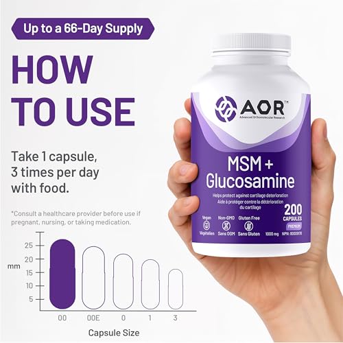 AOR MSM + Glucosamine
