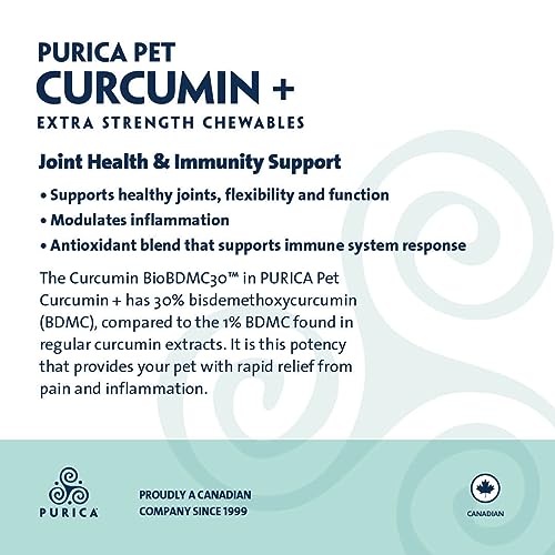 PURICA Curcuma Plus Extra Fort pour animaux de compagnie