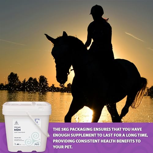 PURICA Équin MSM Végétalien en Poudre - Supplément Pur & Organique pour Chevaux pour le Soutien Articulaire, 1kg