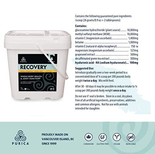 PURICA Recovery Extra Strength Extra Fort - Supplément pour Chevaux - Favorise la Santé et la Performance du Cheval, avec MSM et Glucosamine