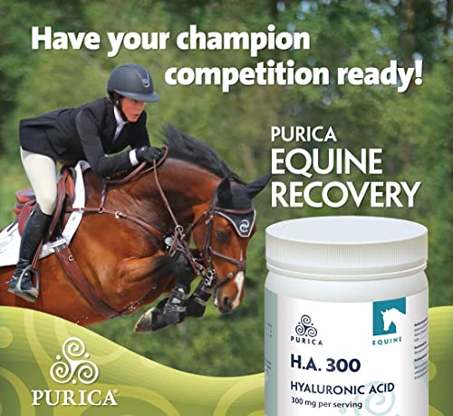 PURICA Equine HA - Horse Joint Supplement with Hyaluronic Acid and Vitamin C - Ideal for Equine Health & Recovery