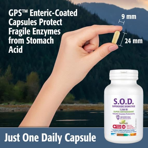 New Roots S.O.D Superoxide Dismutase - 90 Capsules