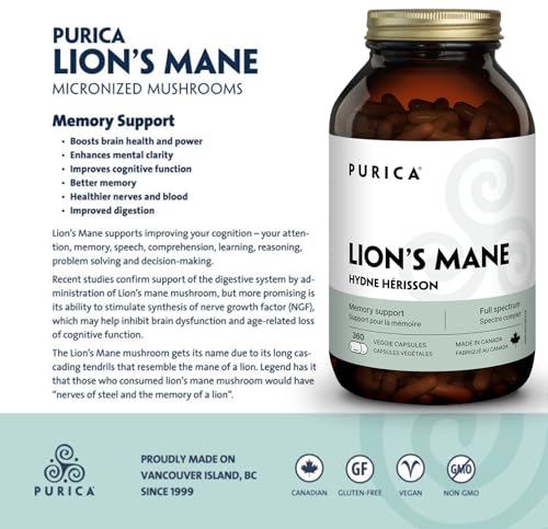 PURICA Crinière de Lion Biologique - Complément pour la Santé Cérébrale, Mémoire et Concentration, Gélules 100% Naturelles, Véganes