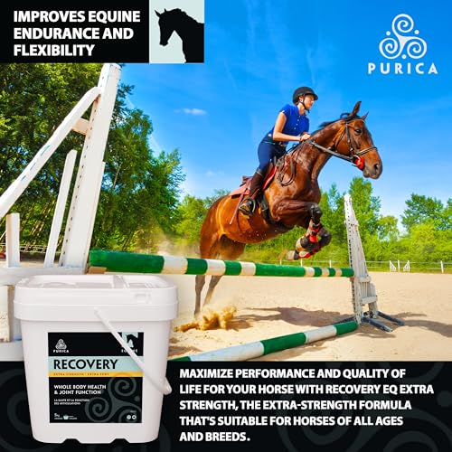 PURICA Recovery Extra Strength Extra Fort - Supplément pour Chevaux - Favorise la Santé et la Performance du Cheval, avec MSM et Glucosamine