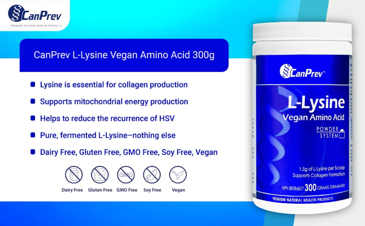 CanPrev L-Lysine Powder, Vegan, 1.5g per Scoop, Helps in Collagen Formation