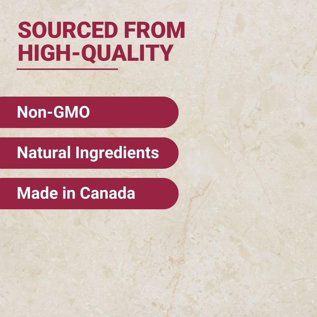 New Roots Herbal Absinthe 100 gélules végétales, Artemisia Absinthium Amertume Digestive, Soutient l'Appétit & la Digestion Sains Sans OGM, Approvisionnement de 33 jours, Fabriqué au Canada