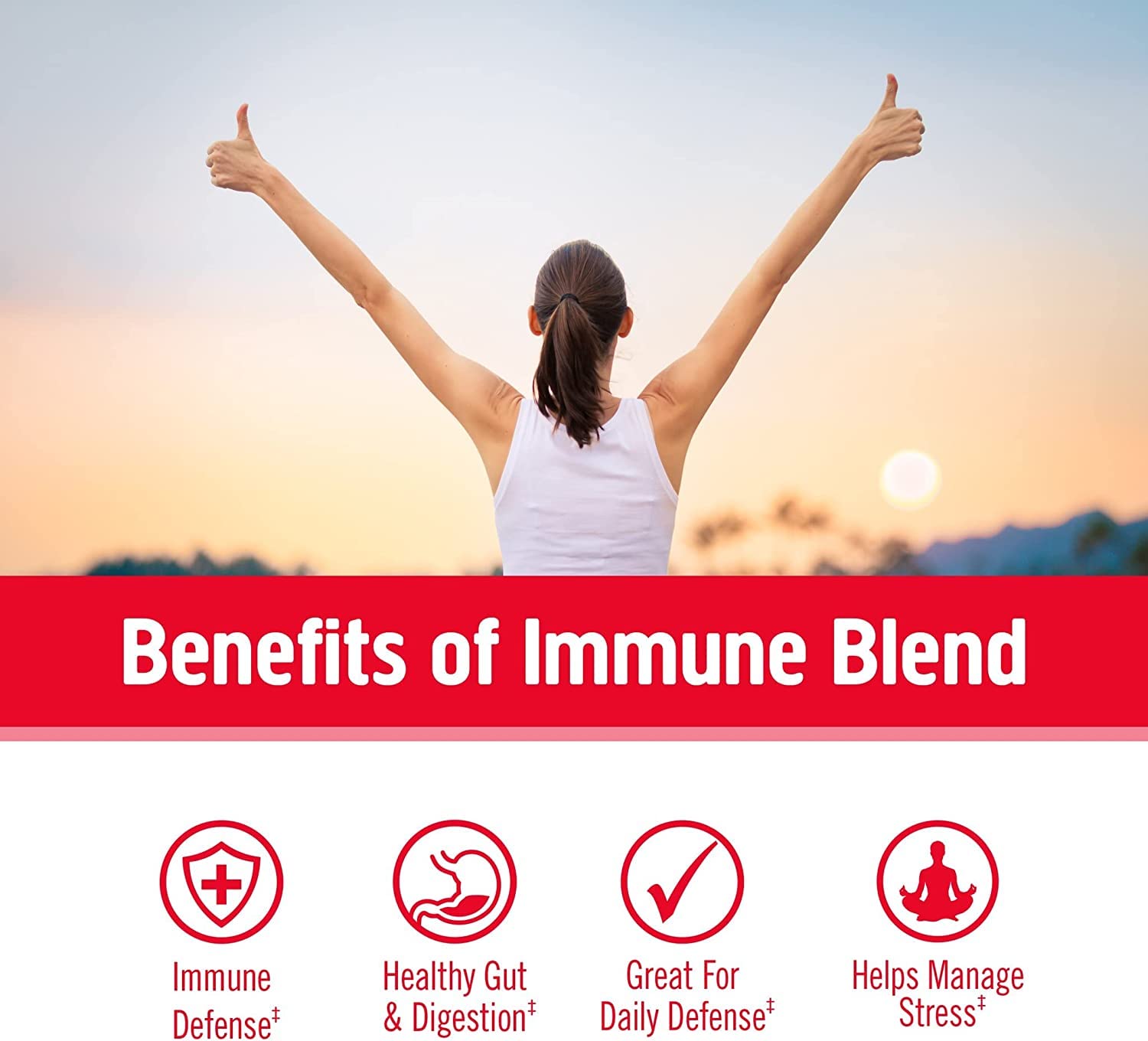 Immune Defense Mushroom 697mg