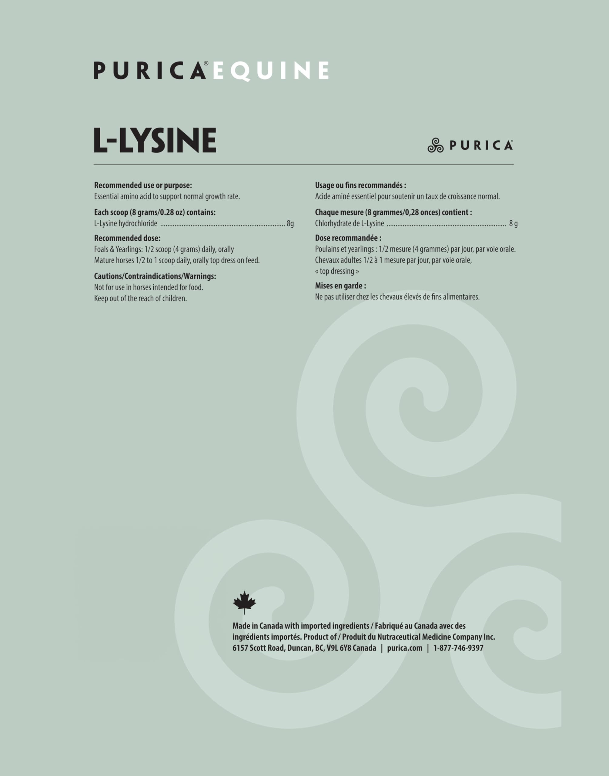 PURICA - L-Lysine en poudre 800g - Acide aminé lysine - Lysine pour chevaux - Complément pour la santé équine - Suppléments de lysine - Poudre de lysine végane pour chevaux - Acide aminé essentiel L-Lysine