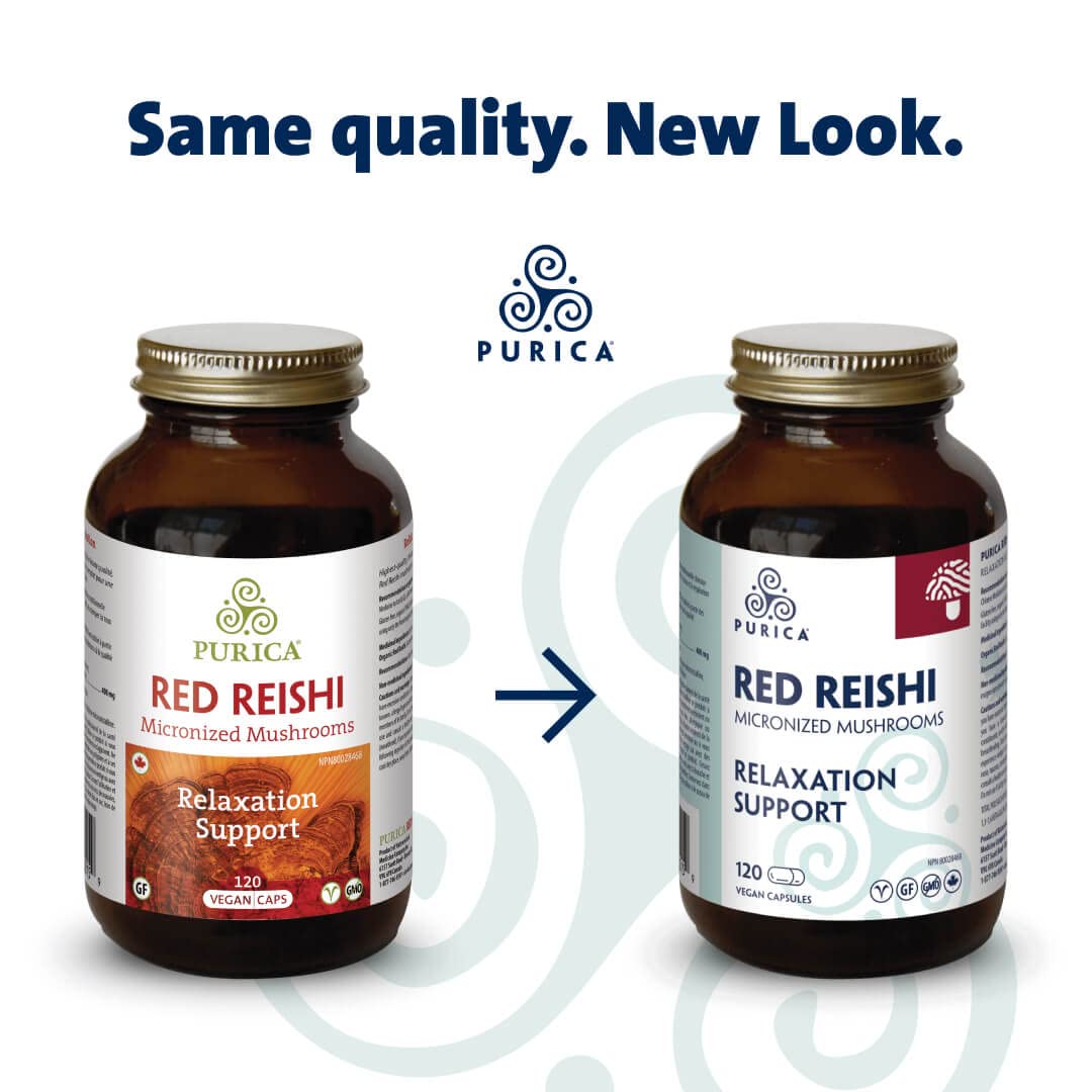 PURICA - Reishi Rouge - Champignons micronisés - Aide à la relaxation