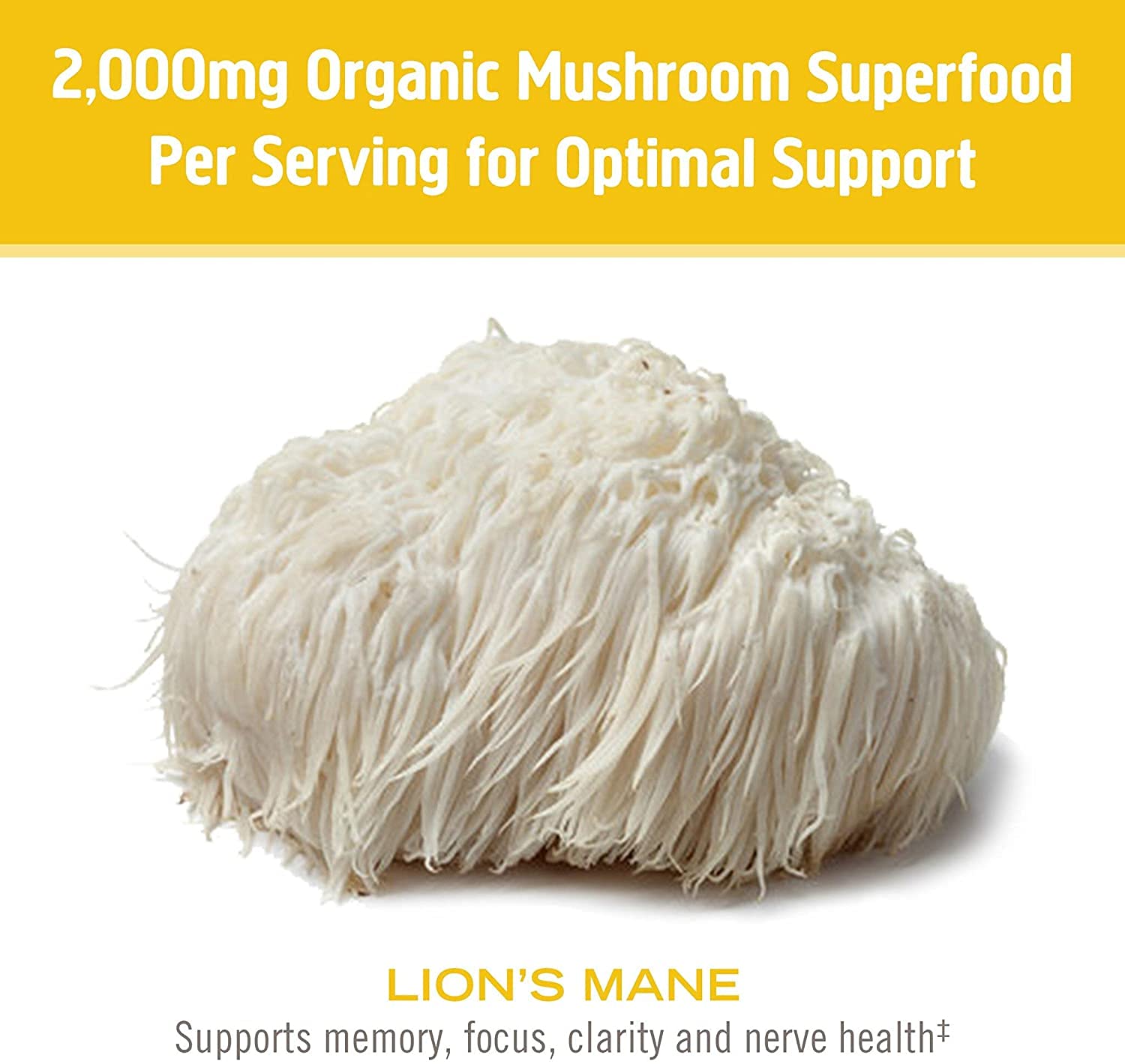 OM Lion's Mane Mushroom 667mg 75 count