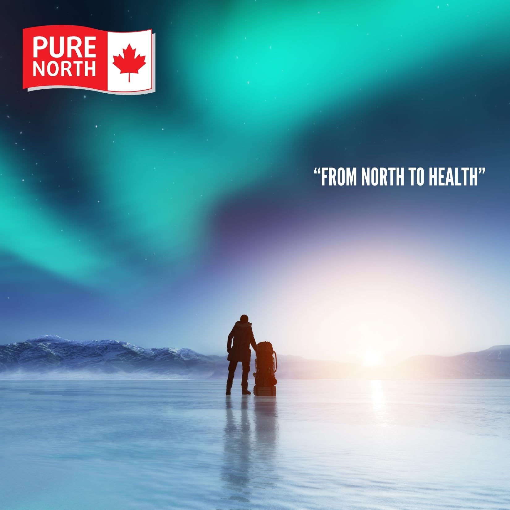 Pure North Naturals - Ashwagandha Bio avec BioPerine, 75 gélules végétaliennes - Améliore l'énergie, les fonctions cognitives et la mémoire - Testé par une tierce partie - Formulé et fabriqué au Canada
