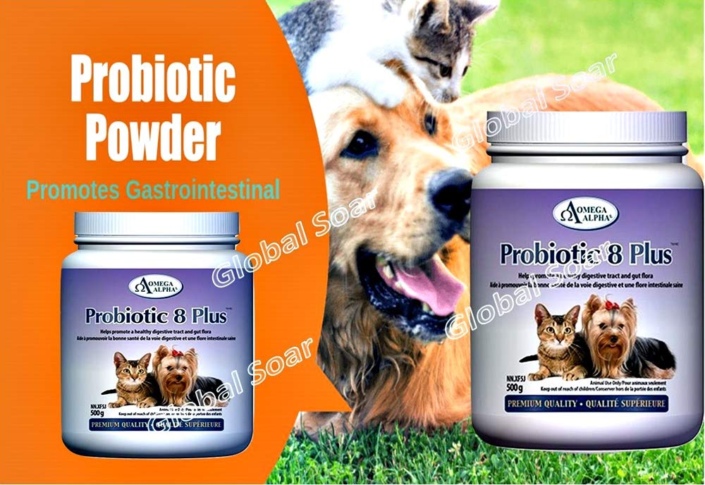 Omega Alpha Probiotic 8 Plus Poudre pour Chiens et Chats, Probiotiques pour Chiens - Soutient la Santé Intestinale, Améliore le Bien-être Digestif, la Santé des Yeux, des Dents et des Gencives, Formulé par des Vétérinaires, Fabriqué au Canada