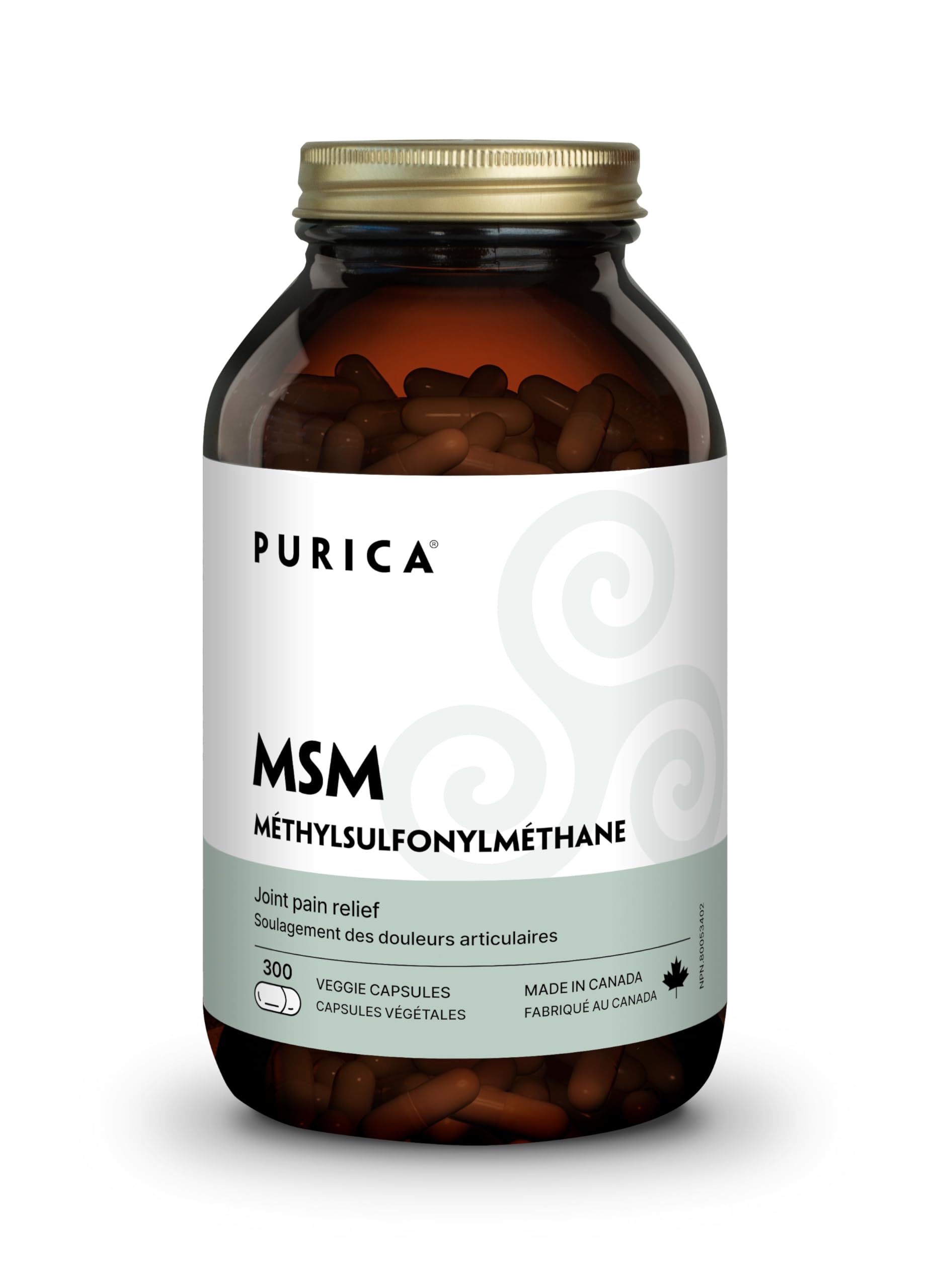 PURICA-P00313-2