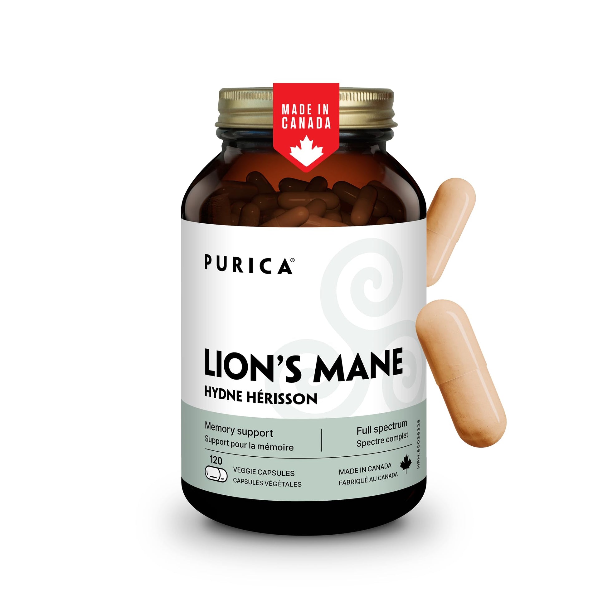 PURICA-P00017