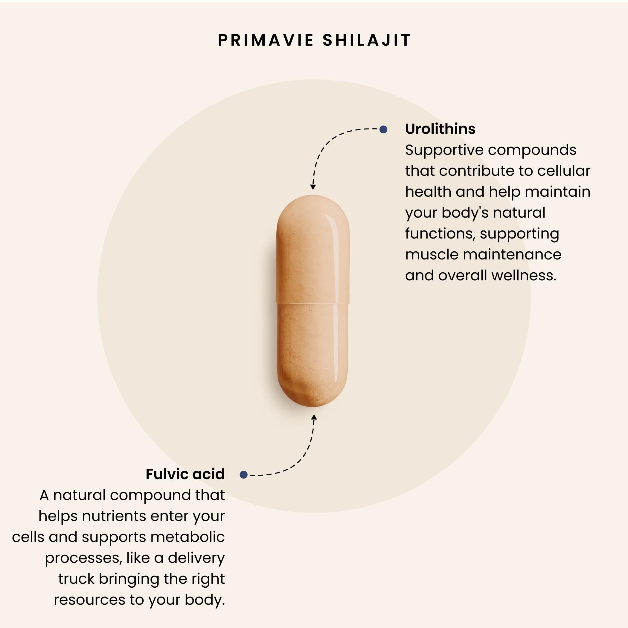 PURICA PrimaVie Shilajit pur de l'Himalaya avec 50 % d'acide fulvique, 250 mg par portion, 60 capsules végétaliennes pour 30 jours, favorise la vitalité, l'énergie, la performance et le bien-être quotidien pour les hommes, sans OGM et sans gluten