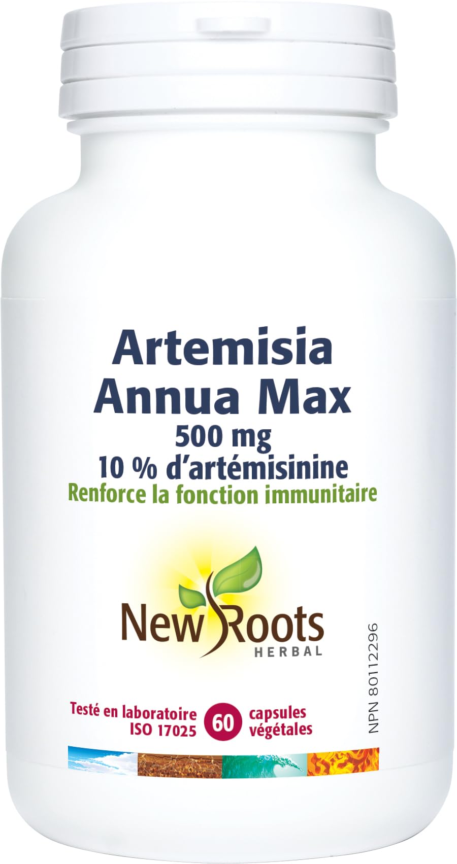 New Roots Herbal - Armoise Annuelle Max, 60 capsules - Artemisia annua 500 mg - 10 % d'artémisinine avec vitamine C 6 mg - Soutient la fonction du système immunitaire et favorise l'équilibre - Complément alimentaire pour adultes