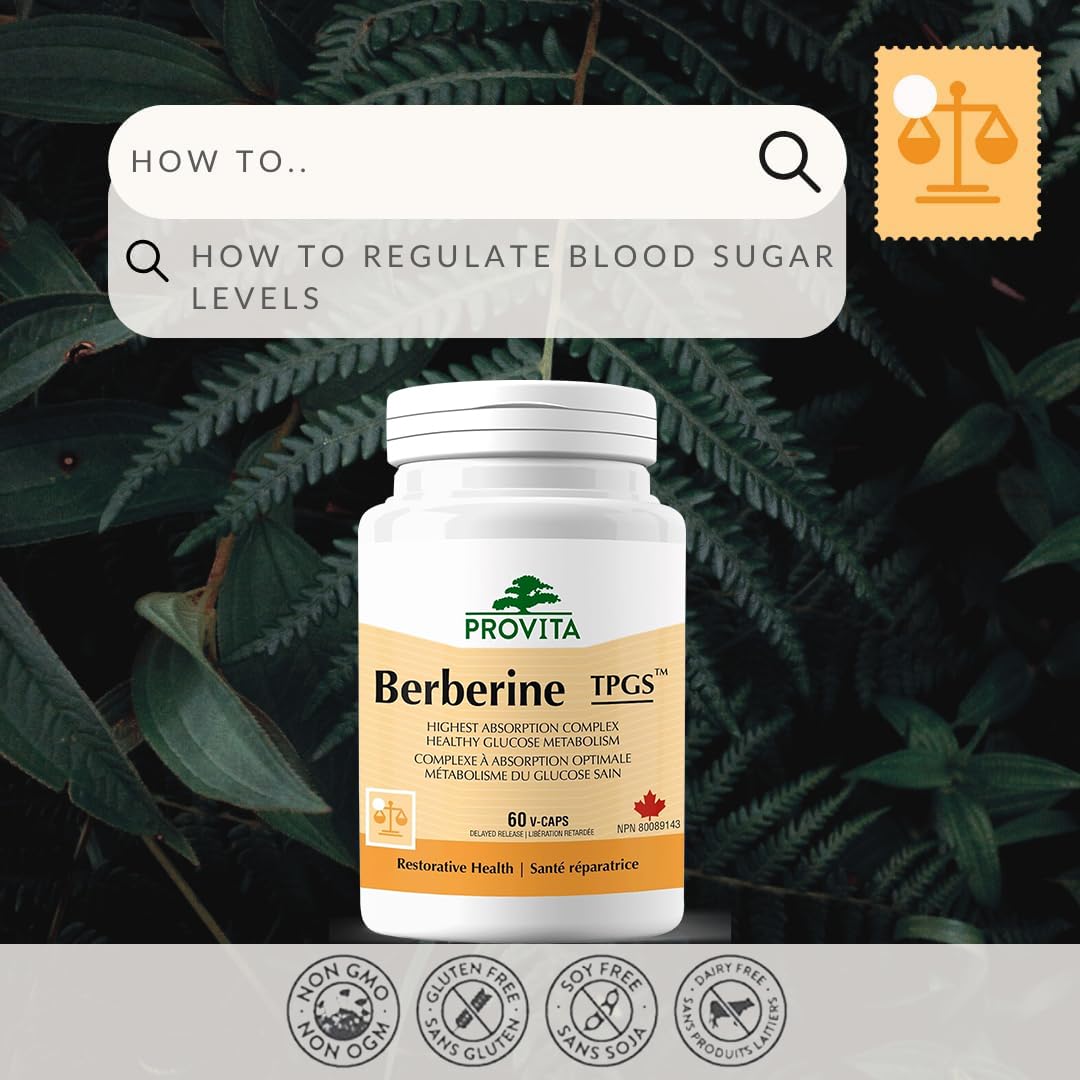 Berberine™ - Régulateur de glucose par Provita | Régulation de la glycémie, active l'AMPK pour une perte de poids potentielle | Libération prolongée pour une absorption maximale | berbérine 500mg