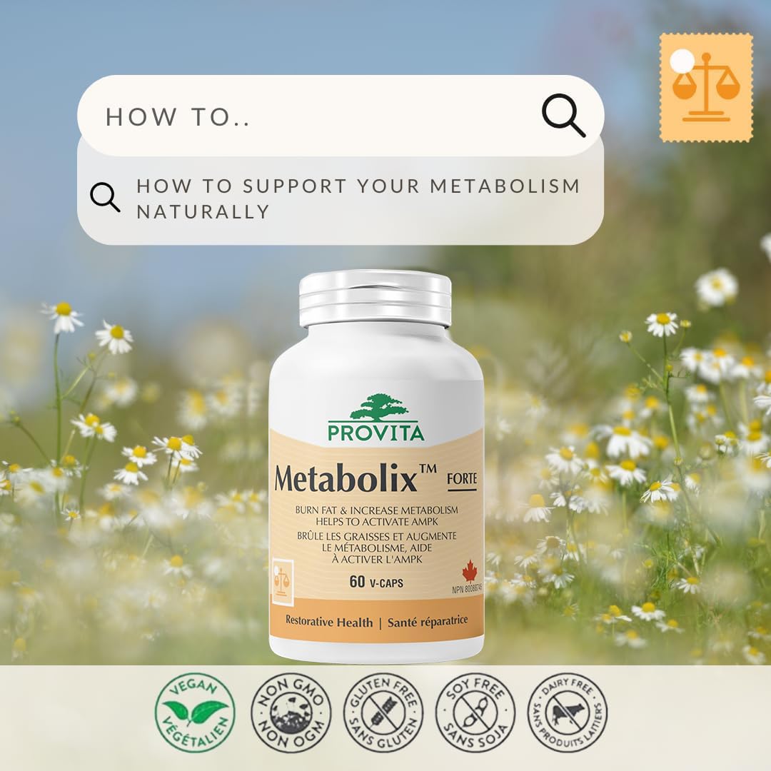 Provita Metabolix AMPK™ : Booster d'énergie cellulaire – Favorise un métabolisme sain du glucose et réduit le taux de lipides sanguins (60 capsules)
