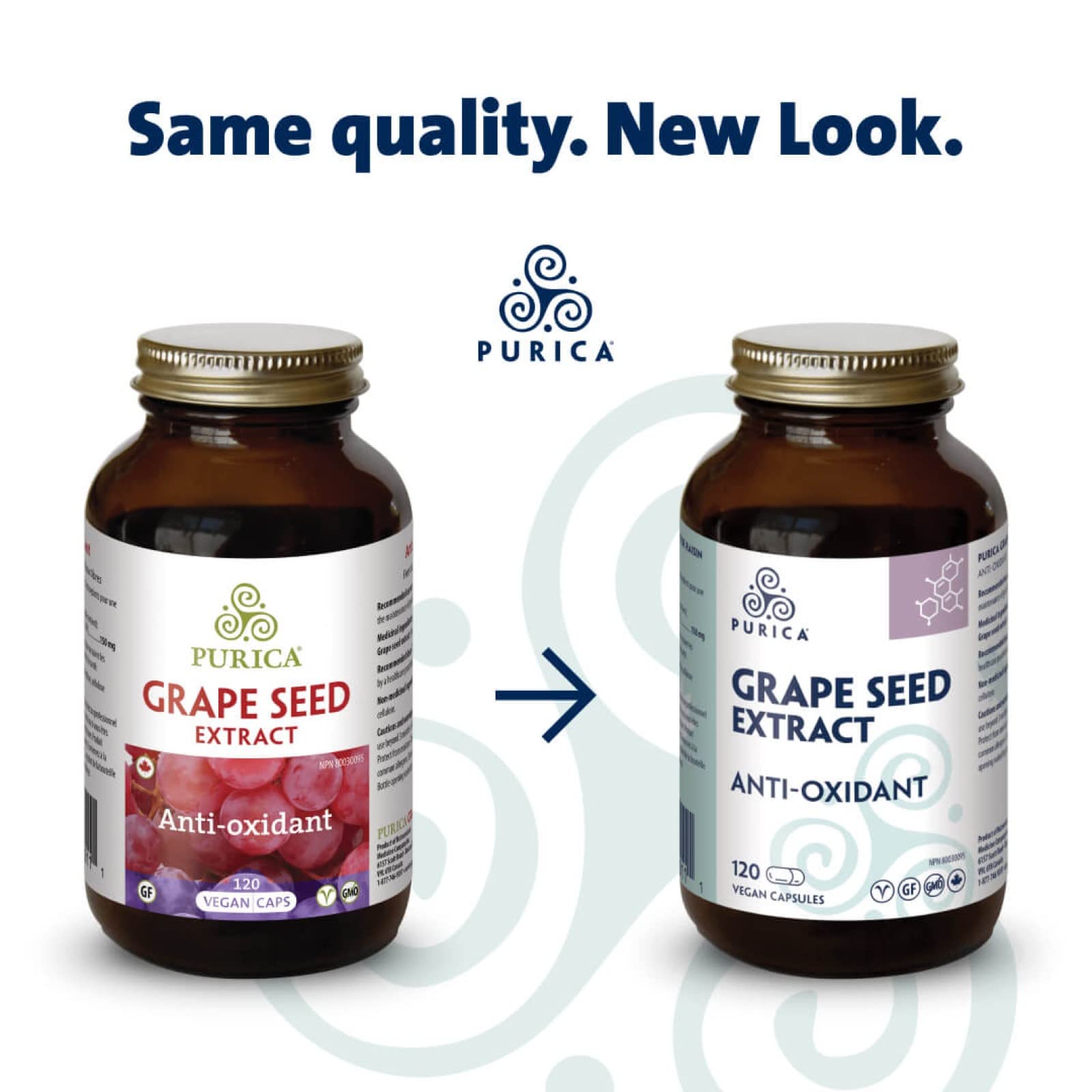PURICA - Extrait de pépins de raisin, 120 capsules végétaliennes, cure de 60 jours - Source d'antioxydants pour le maintien d'une bonne santé, mélange concentré de proanthocyanidines standardisées - Sans OGM et sans gluten