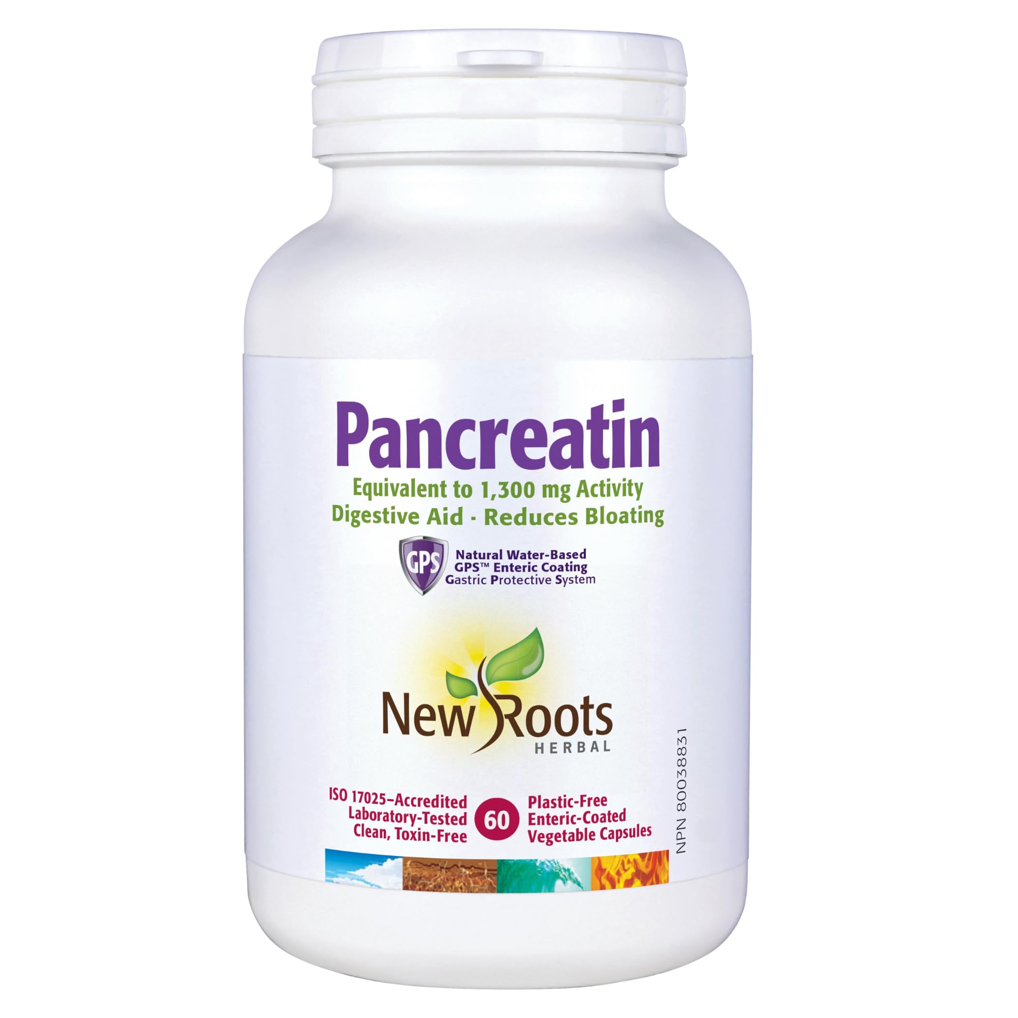 New Roots Herbal Pancréatine Équivalent à 1 300 mg d’activité, 60 gélules pour 30 jours – Aide digestive et réduit les ballonnements