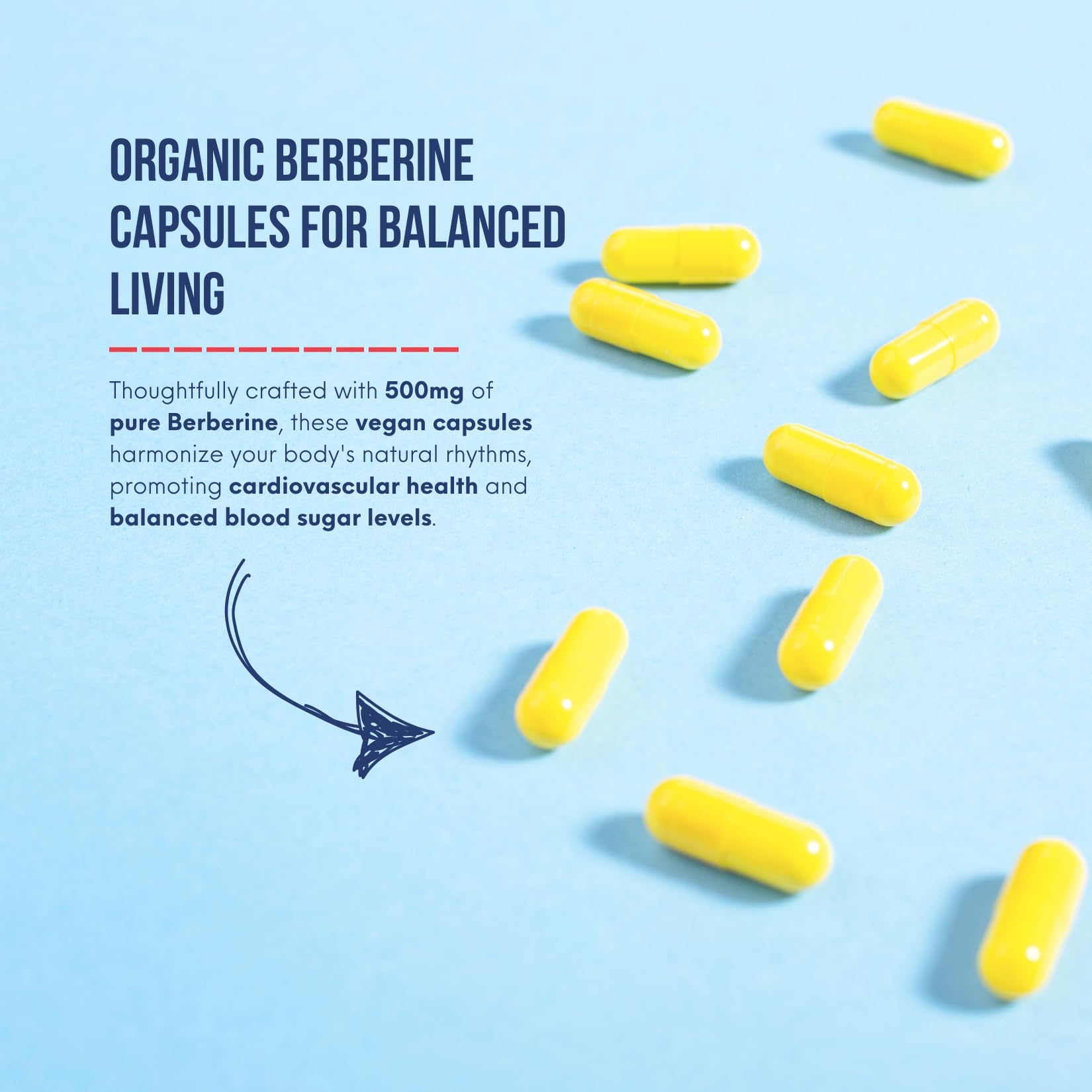 Pure North Naturals - Berberine 500mg, 150 Vegan Capsules 75-Day Supply - Supports Blood Sugar Metabolism + Cardiovascular Health and Gut Health - 3rd Party Tested - Formulated & Made in Canada